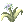 Vital Flower.png